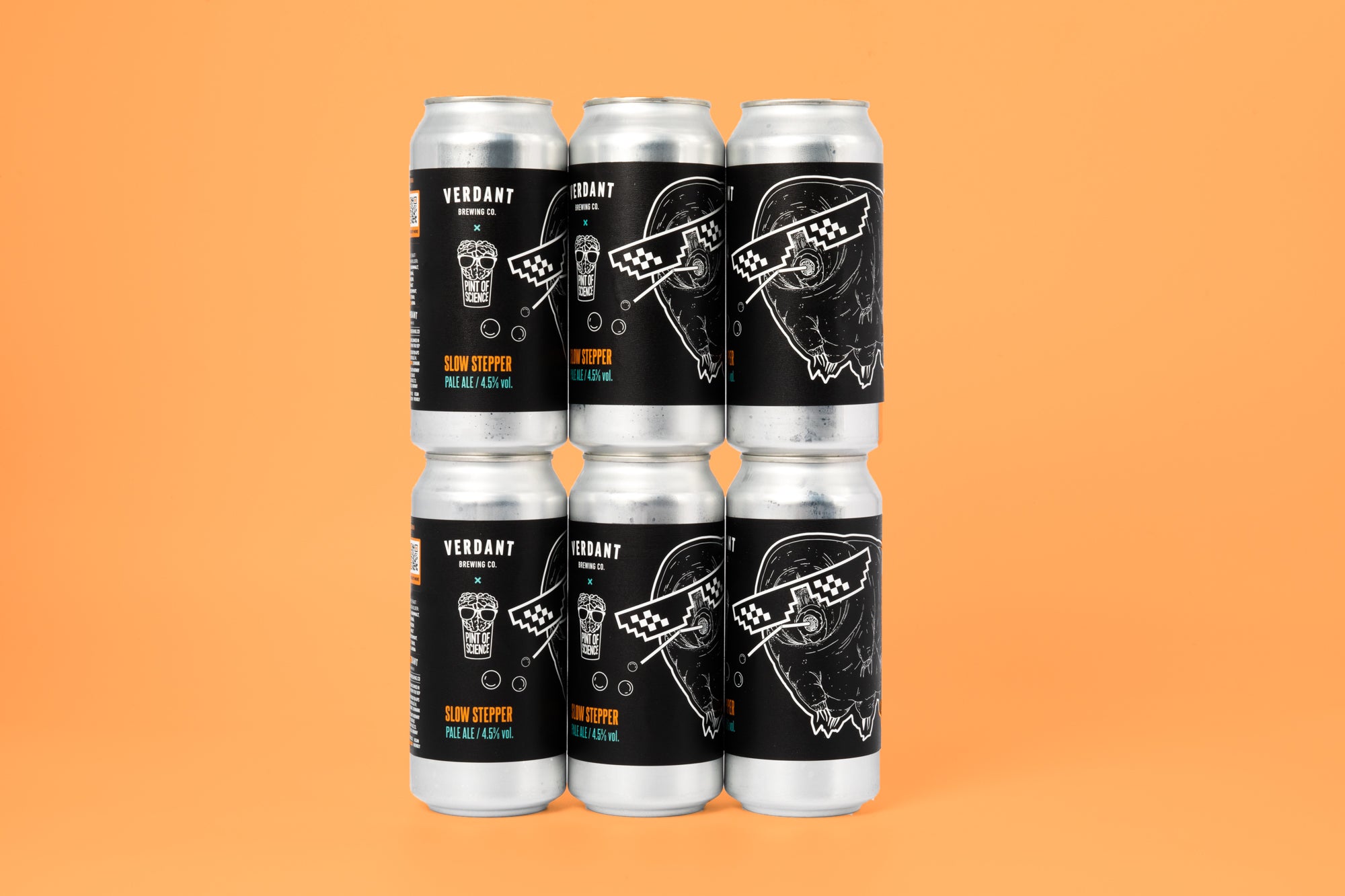Slow Stepper Pale Ale