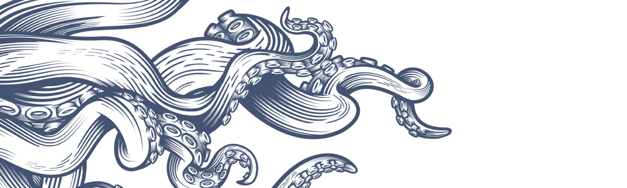 CLOSED TO NEW APPLICATIONS Octopus Wanted