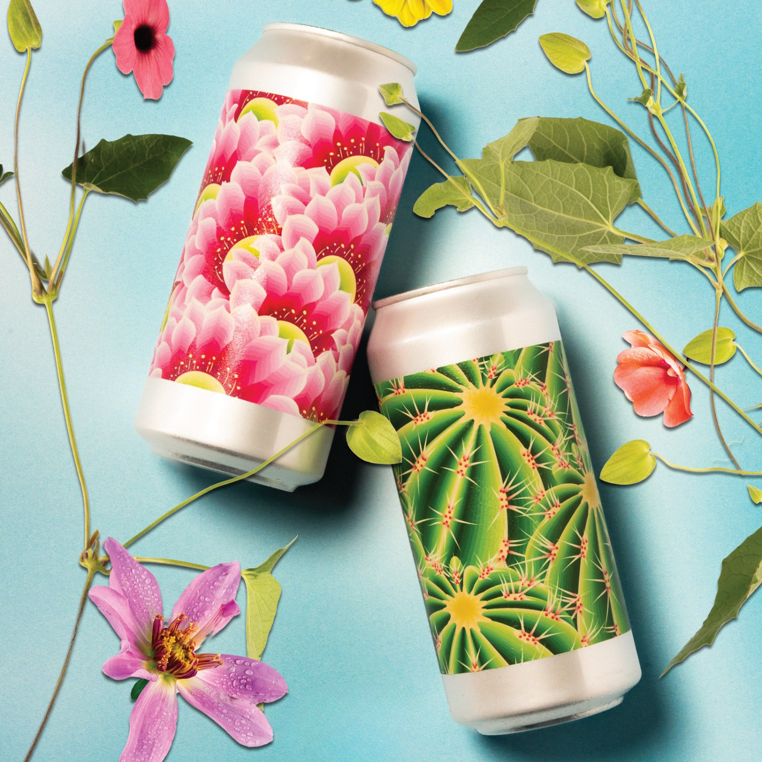 Flowers & Thorns Mix | 6 PACK
