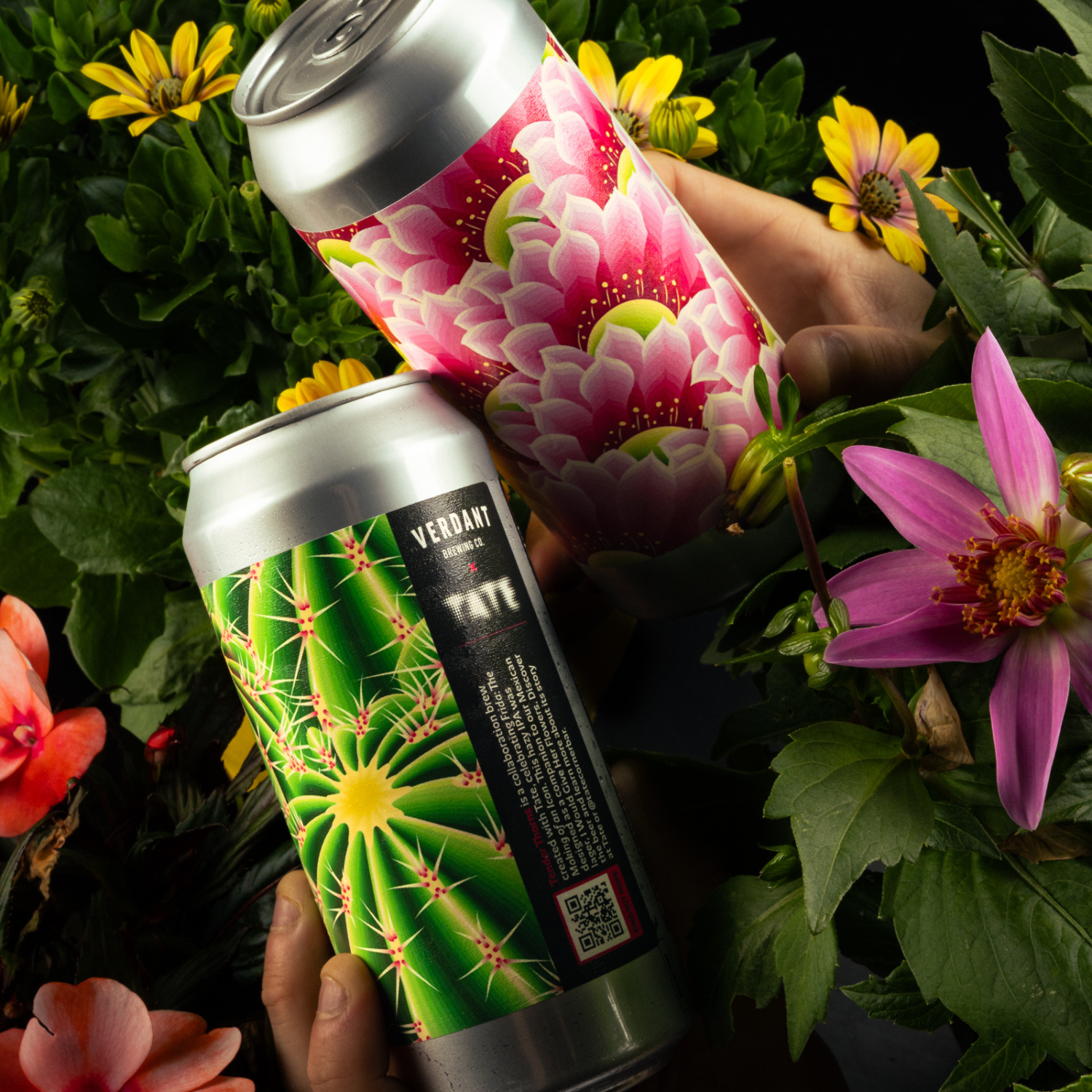 Flowers & Thorns Mix | 6 PACK
