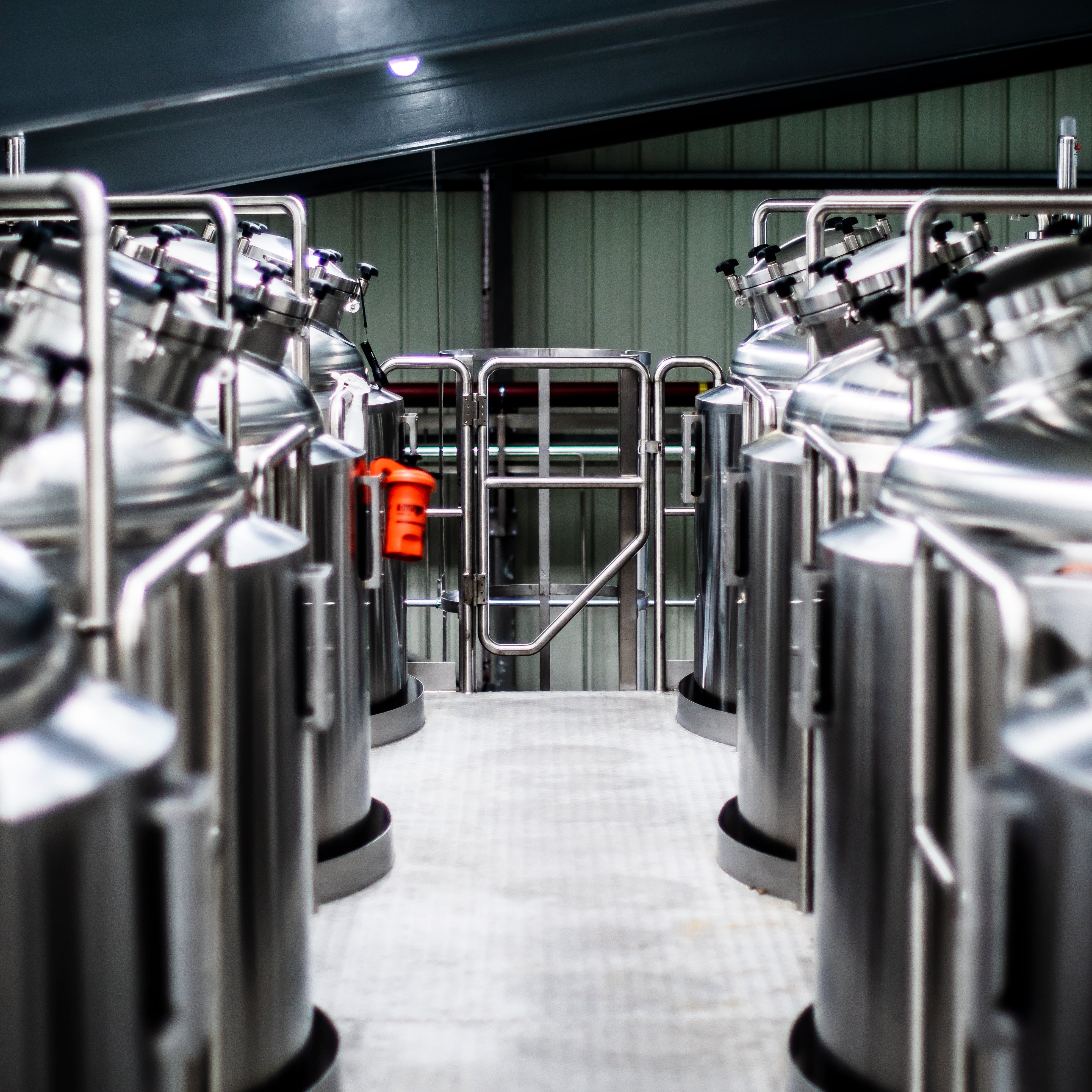 Verdant Brewing Co Ltd