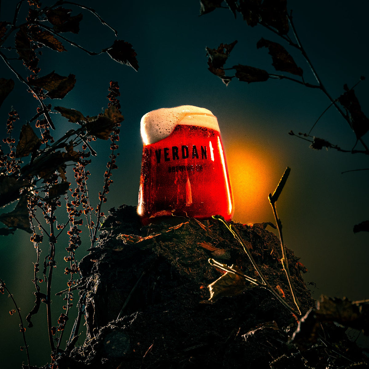The Night of the Blood Orange Moon | 6 pack