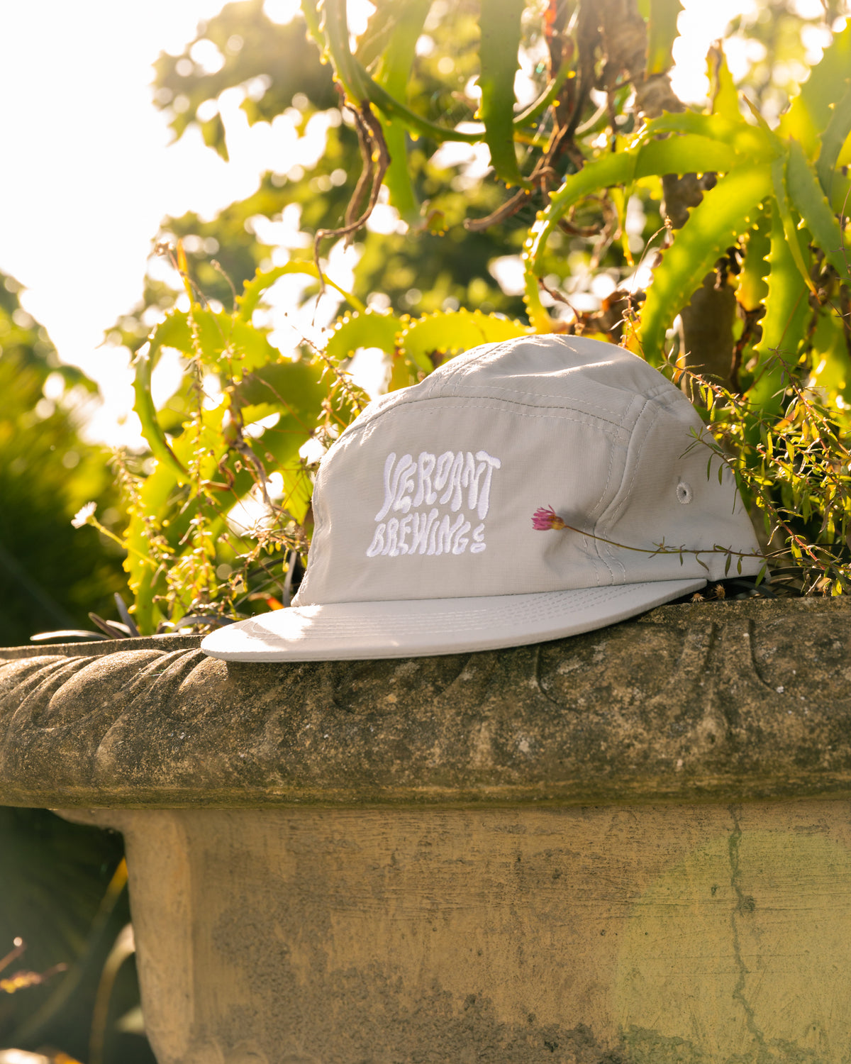 Back to Nature 5 Panels Cap - Grey