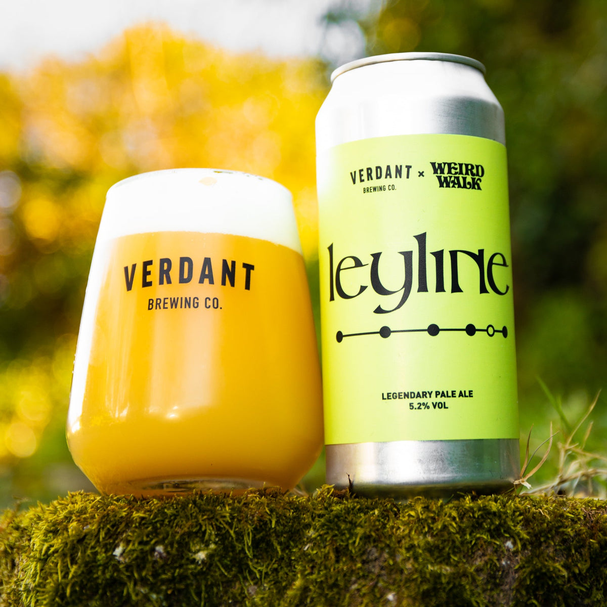 Leyline X Weird Walk | 6 Pack