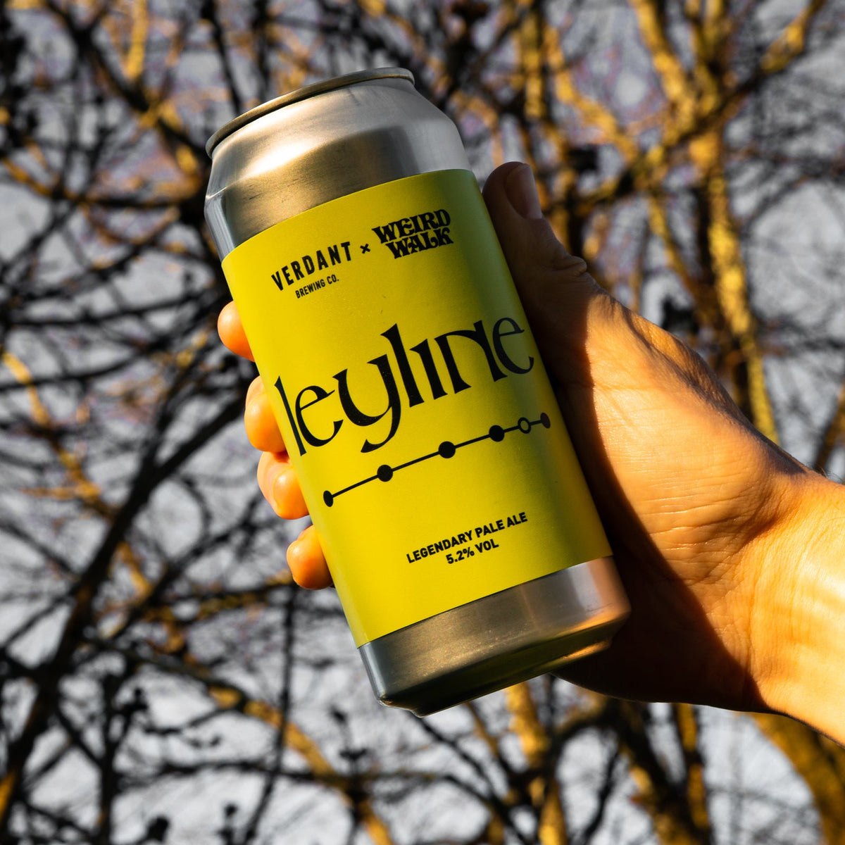 Leyline X Weird Walk | 6 Pack