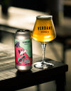Single Can: Big Stupid Westy V5