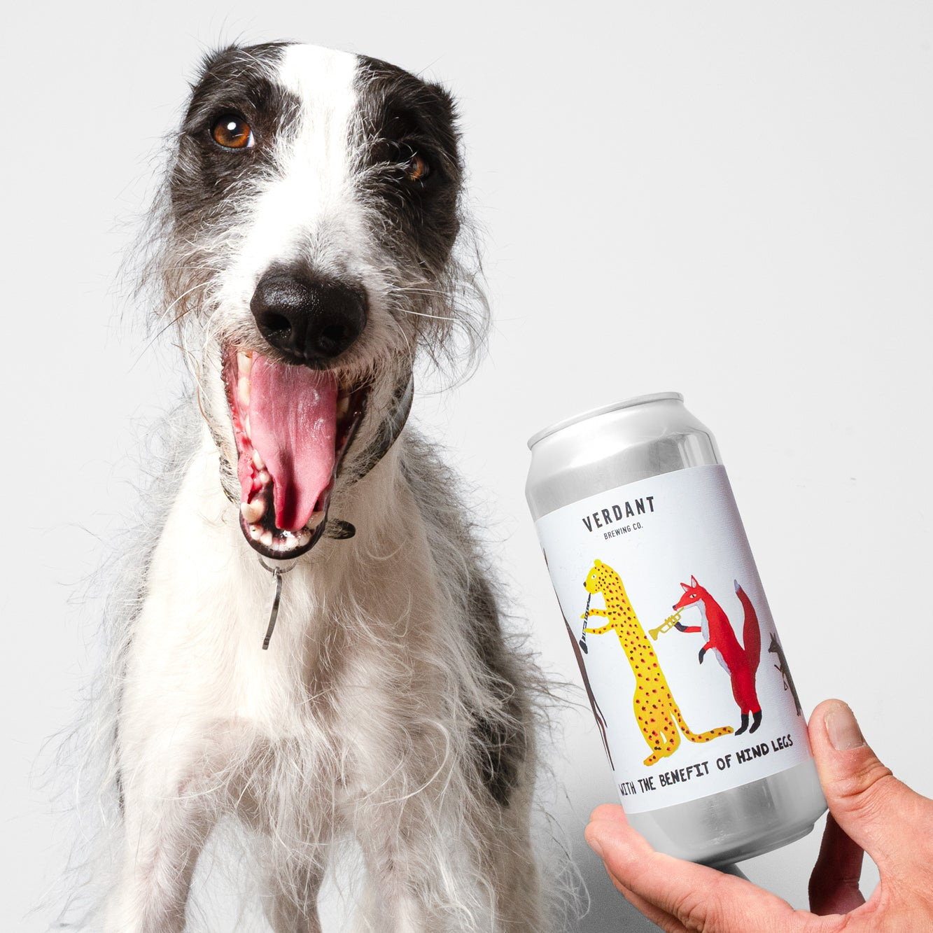 With The Benefit of Hind Legs | 6 pack
