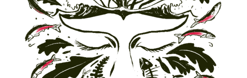 The No Trees No Seas