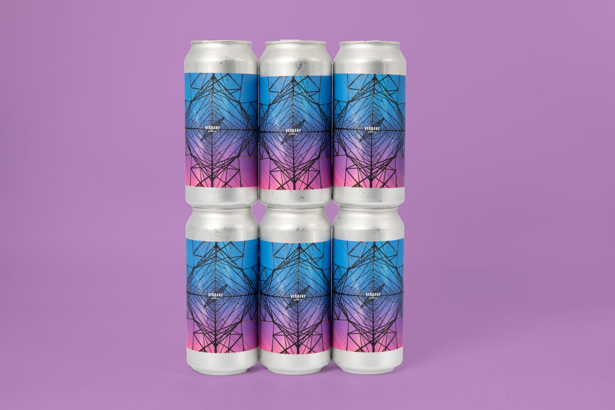Intimately Spaced Pylons IPA 6 Pack